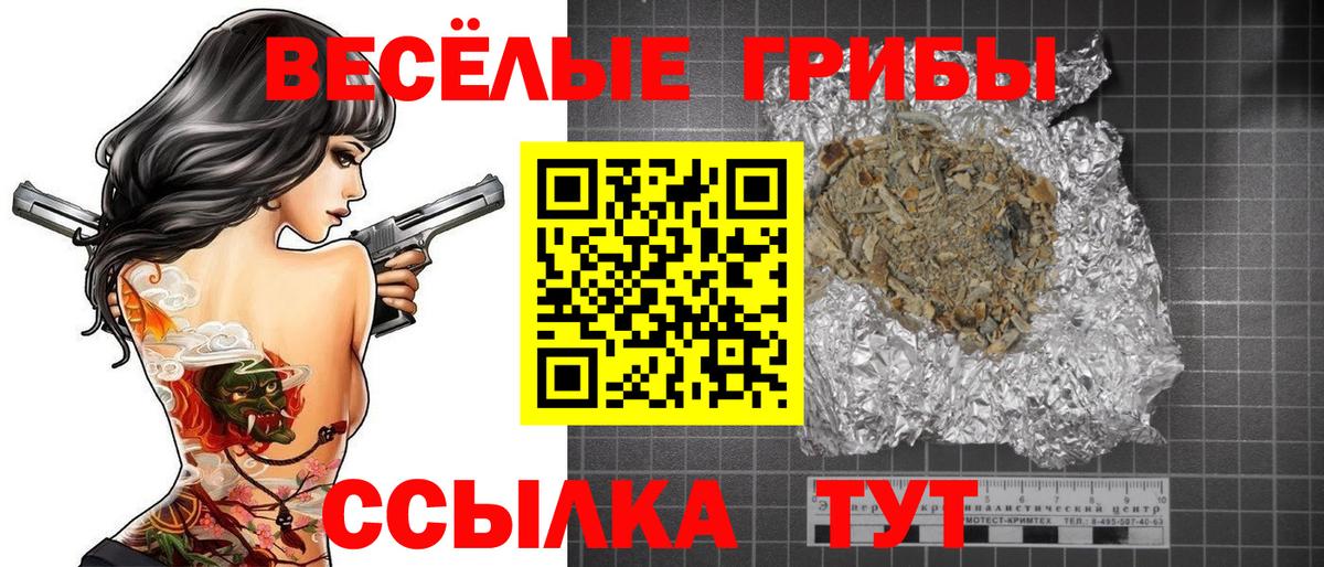 Галлюциногенные грибы MAGIC MUSHROOMS  Вход с VPN  Щёлково 